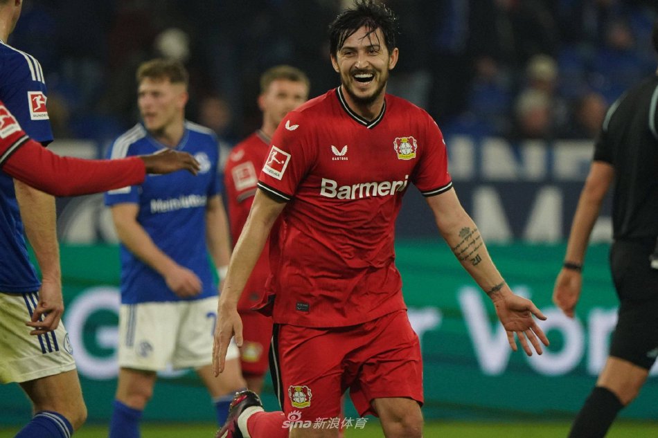 博奇的职业 博奇的职业